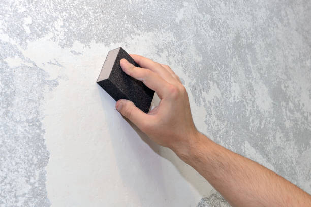 Best HVAC Mold Inspection and Cleaning  in Lolo, MT