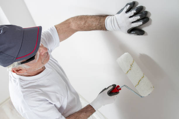 Best Mold Odor Removal Services  in Lolo, MT