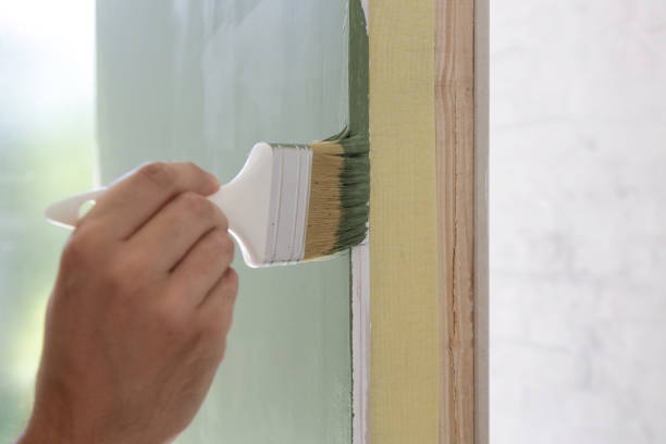 Best Mold Documentation for Insurance Claims  in Lolo, MT