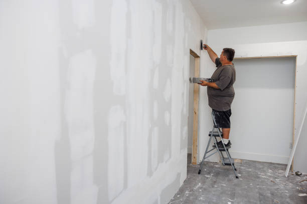 Best Commercial Mold Inspection  in Lolo, MT