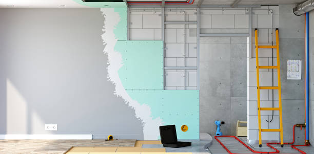 Best Residential Mold Inspection & Testing  in Lolo, MT