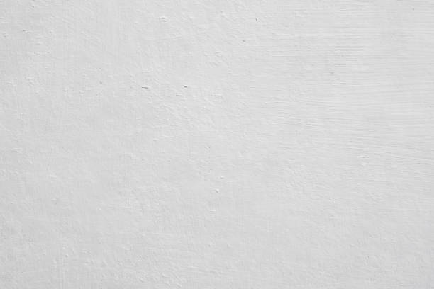 Best Mold Prevention Services  in Lolo, MT
