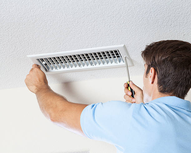 Best Mold Remediation for Healthcare Facilities  in Lolo, MT