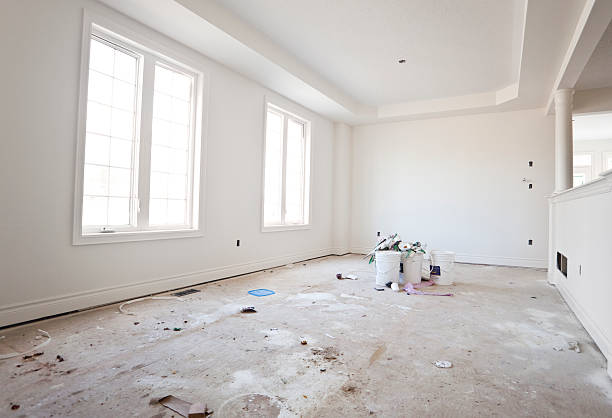 Best Industrial Mold Remediation  in Lolo, MT