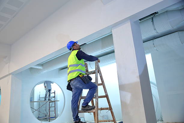 Best Dehumidification Services  in Lolo, MT
